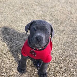 Meet your Posher, Sonia